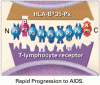 HLA-B*35 サブタイプと AIDS への進行