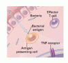 Clinical Implications of Basic Research：クローン病の新しい治療ターゲット