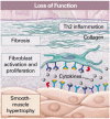 Clinical Implications of Basic Research：喘息遺伝子としての ADAM-33 表面