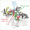 HIV 薬剤耐性