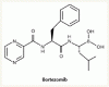 多発性骨髄腫に対するボルテゾミブとデキサメタゾンの比較