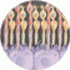 <i>ABCA4</i> 変異に関連する網膜疾患