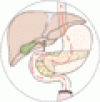 ビタミン B<sub>12</sub> 欠乏症