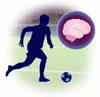 サッカーと神経変性疾患 ― リスクを評価する