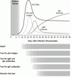 HIV 感染 ― スクリーニング，診断，治療