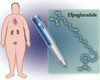 2 型糖尿病に対するエフペグレナチド