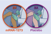 追跡 5 ヵ月の時点での mRNA-1273 SARS-CoV-2 ワクチン