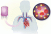 ICU における厳格な血糖コントロール